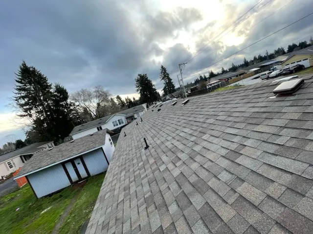 Express Roofing Picture 3