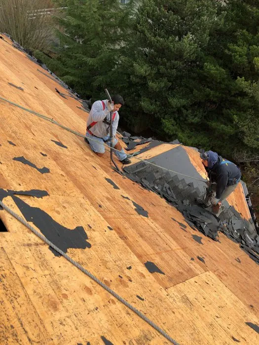 Matrix Roof & Home Picture 5