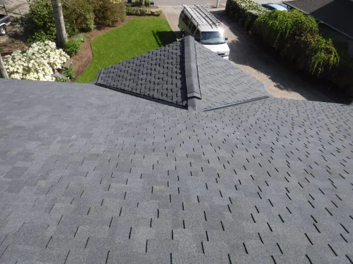 Matrix Roof & Home Picture 9