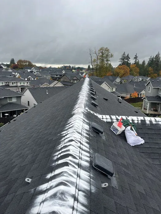 Cherry Roofing Picture 2