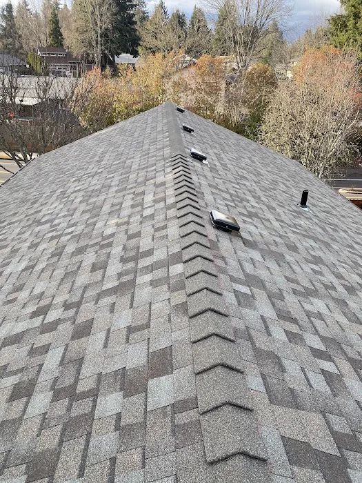 JJ NEW ERA ROOFING LLC Picture 7
