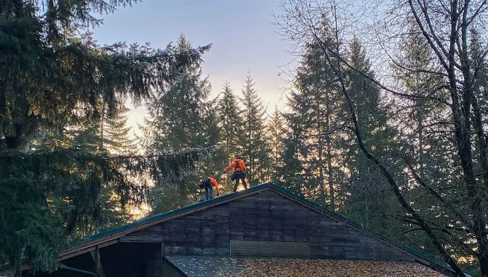 SA Roofing Picture 5