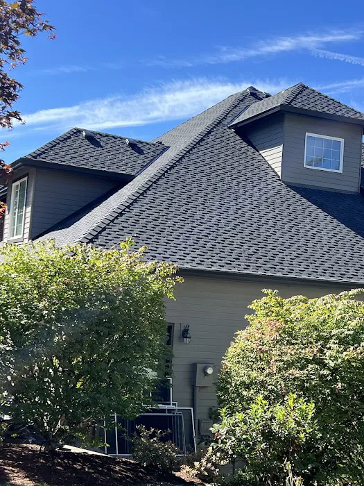 Sani Roofing & Construction LLC Picture 2