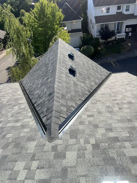 Sani Roofing & Construction LLC Picture 8