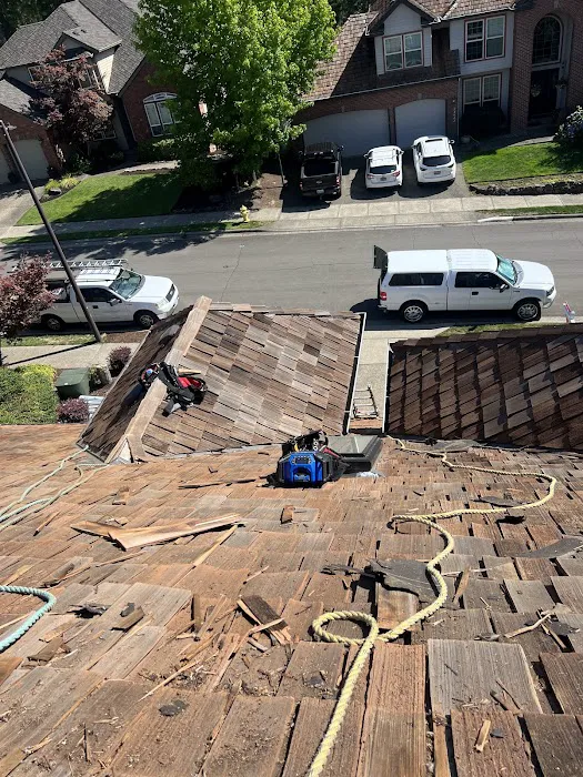 Sani Roofing & Construction LLC Picture 3