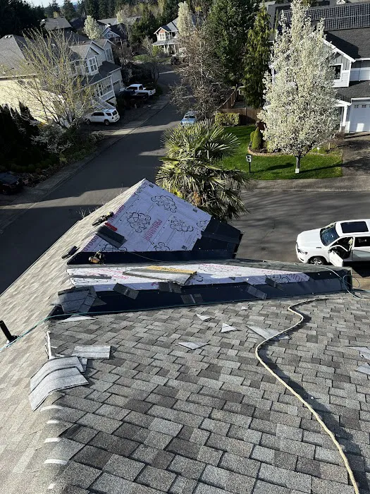 Sani Roofing & Construction LLC Picture 10