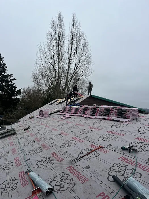 Sani Roofing & Construction LLC Picture 4