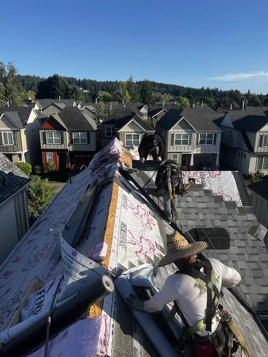 Sani Roofing & Construction LLC Picture 5