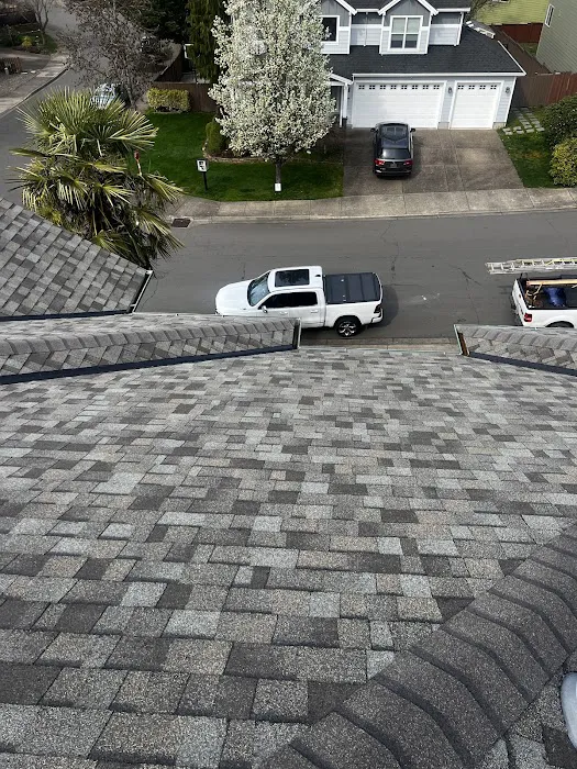 Sani Roofing & Construction LLC Picture 9