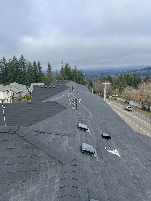 Sani Roofing & Construction LLC Picture 6