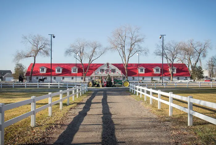 Rise Metal Roofing Picture 8
