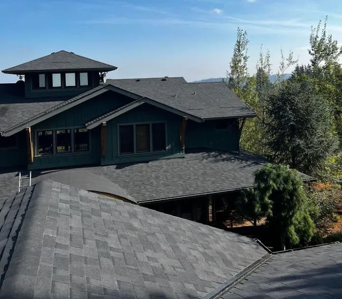 Top Shield Roofing Picture 7