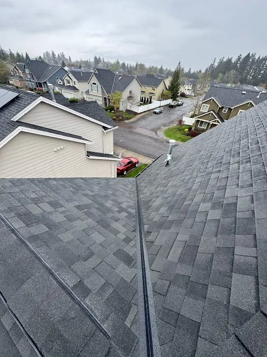 Top Shield Roofing Picture 5
