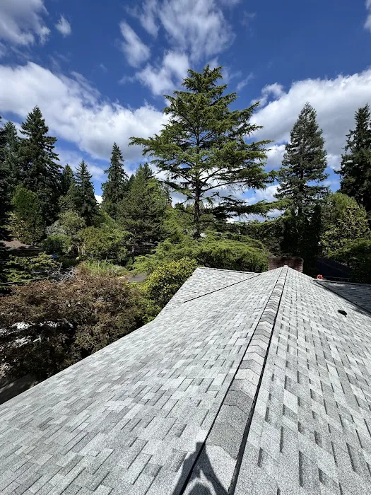 Top Shield Roofing Picture 4