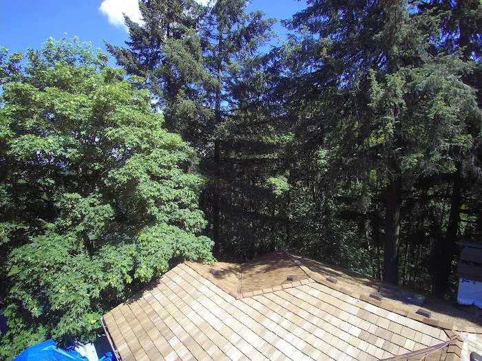 Roof Life Of Oregon Picture 10