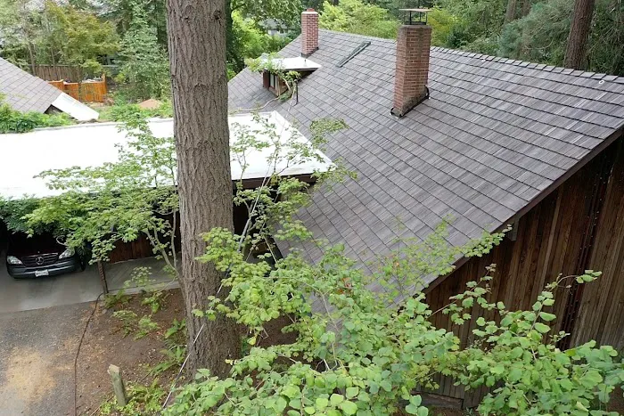 Roof Life Of Oregon Picture 7