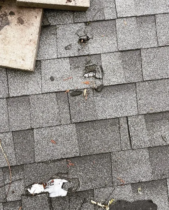 Boss Exteriors Picture 7