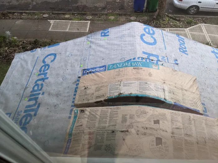 Exterior Care Pdx Inc. Picture 4