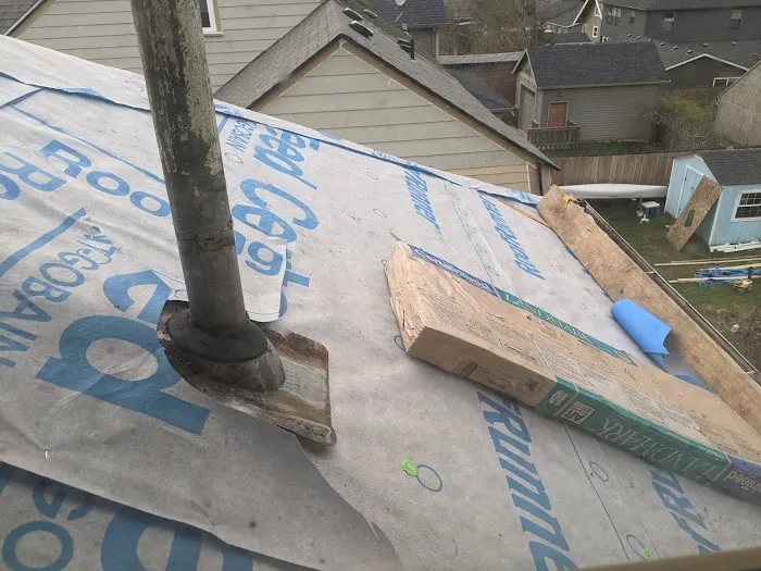 Exterior Care Pdx Inc. Picture 5