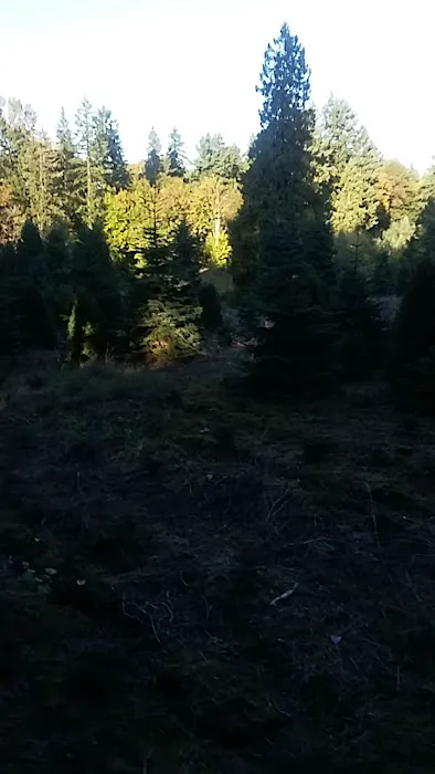 D & D Contracting Picture 6