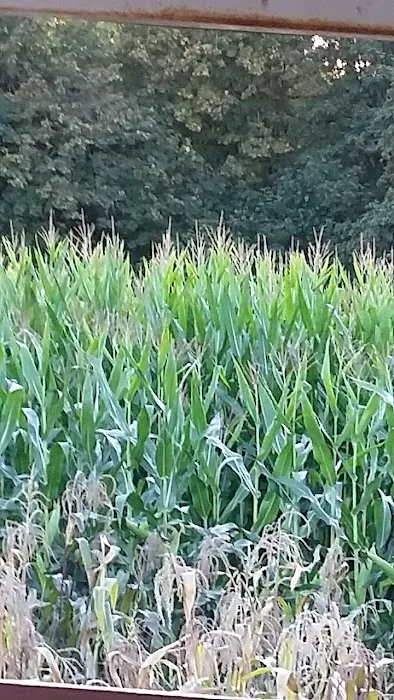 D & D Contracting Picture 7