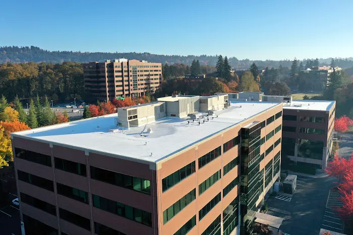 Nations Roof Picture 7