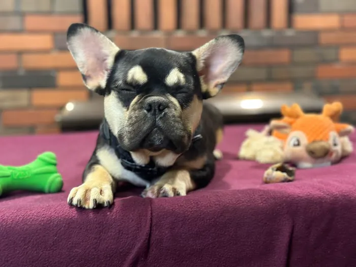 Aquarius Roofing LLC Picture 2