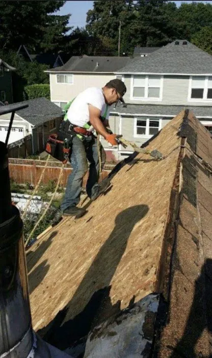 Aquarius Roofing LLC Picture 4