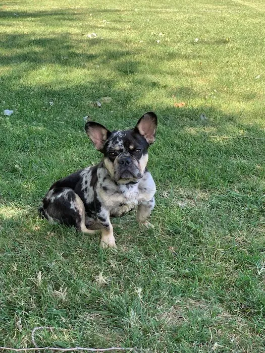 Aquarius Roofing LLC Picture 8