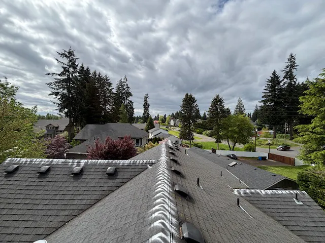 Gold Shield Exteriors Picture 1