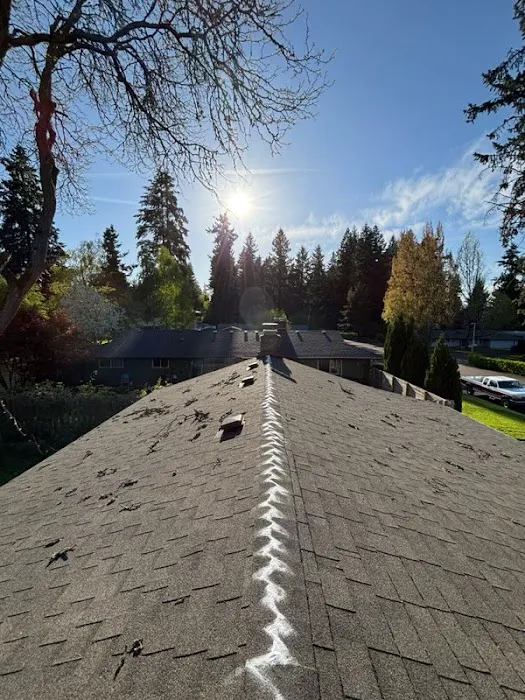 Gold Shield Exteriors Picture 6