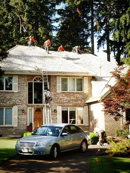 Fisher Roofing Picture 10