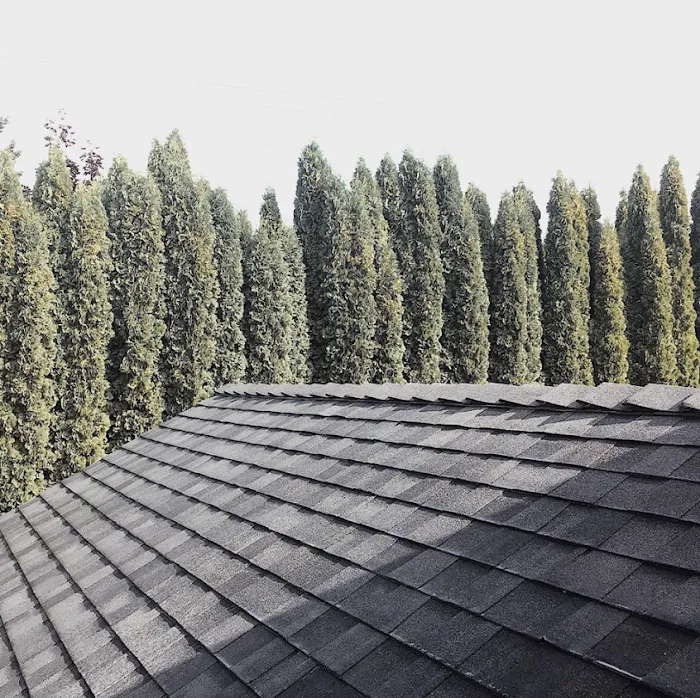 Weather Built Homes- Residential Roofing Services Picture 7