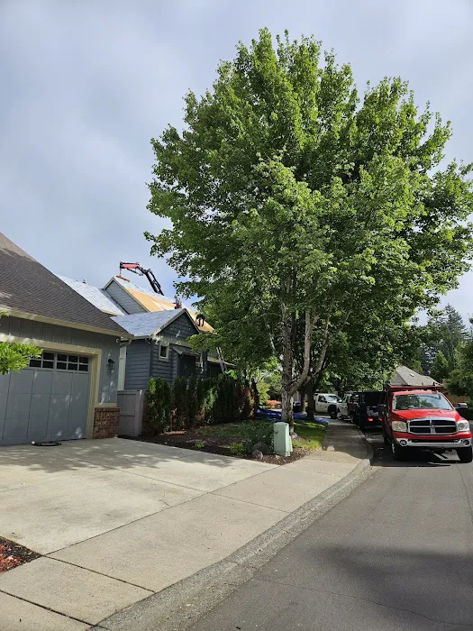 Soto & Brothers Roofing Picture 9