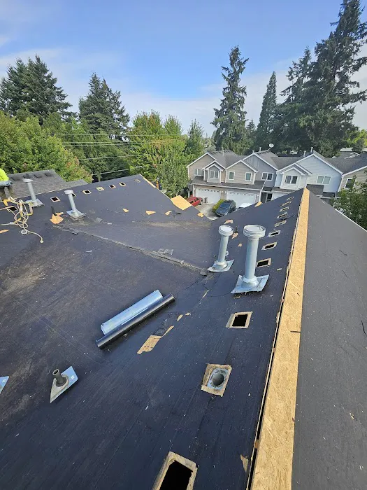 Soto & Brothers Roofing Picture 1