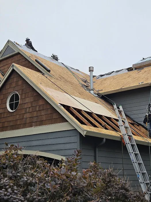 Soto & Brothers Roofing Picture 2