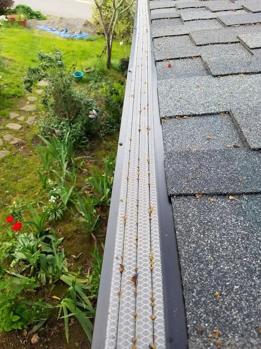 Leos Roofing & Maintenance LLC Picture 2