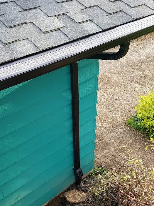 Leos Roofing & Maintenance LLC Picture 1