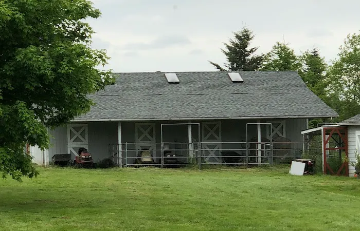 Executive Roof Services Picture 1