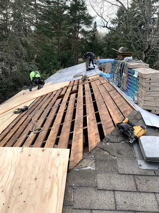 Executive Roof Services Picture 3