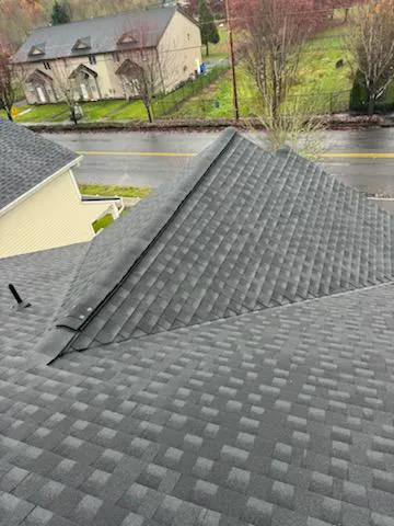 Trenick Roofing Picture 1