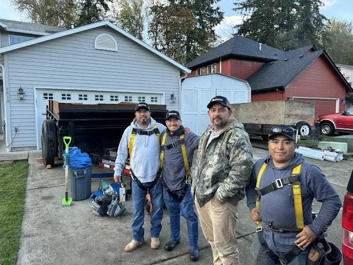 Trenick Roofing Picture 4