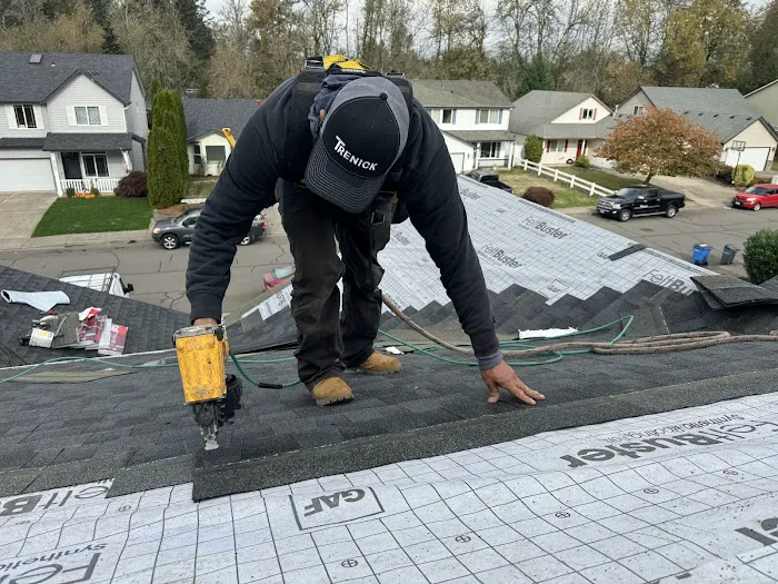 Trenick Roofing Picture 6