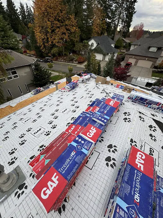 Trenick Roofing Picture 10