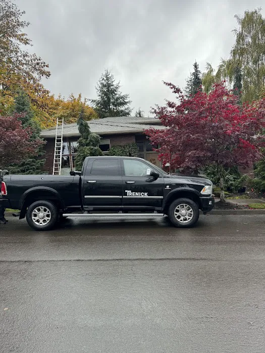 Trenick Roofing Picture 9