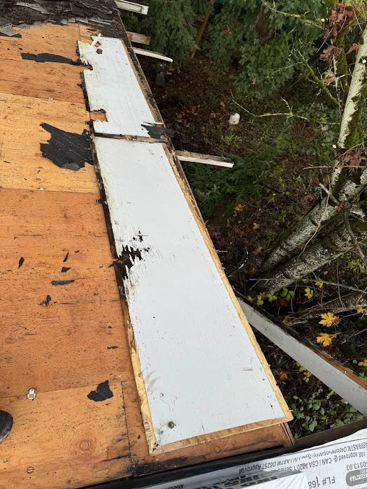 Trenick Roofing Picture 5