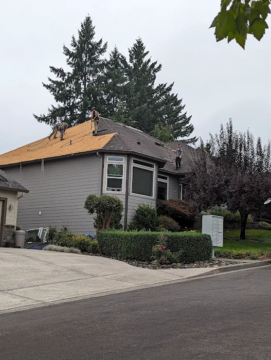 Ed’s Economy Roofing LLC Picture 1