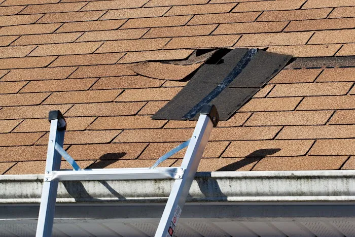 Pacific Roof LLC Picture 7