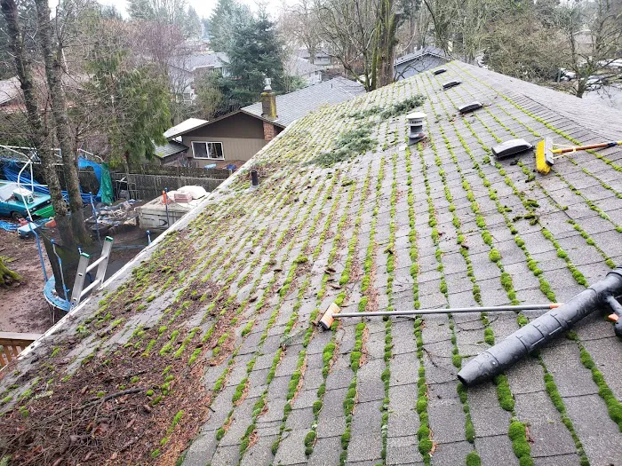 Gari Roofing & Construction LLC Picture 8