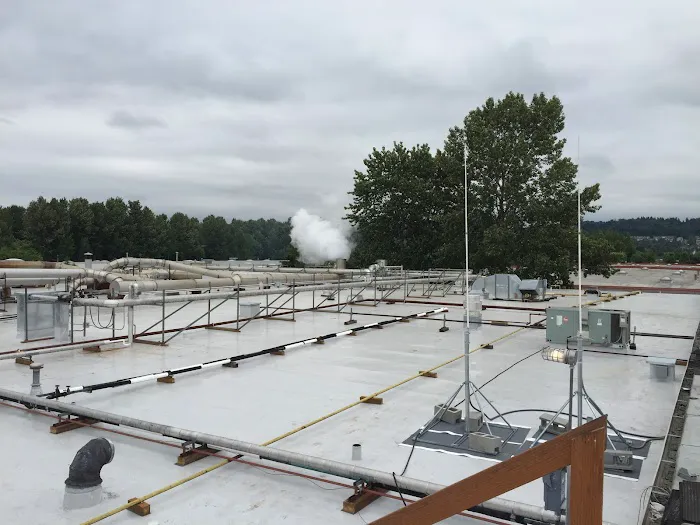 Professional Quality Roofing, LLC Picture 6